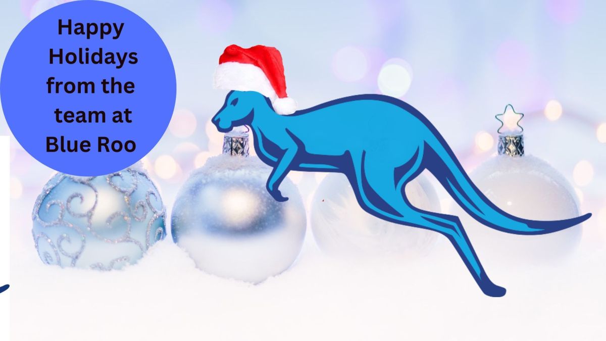 Blue Roo Christmas Party
